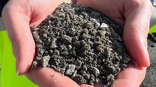 Fingrus holdes i hender