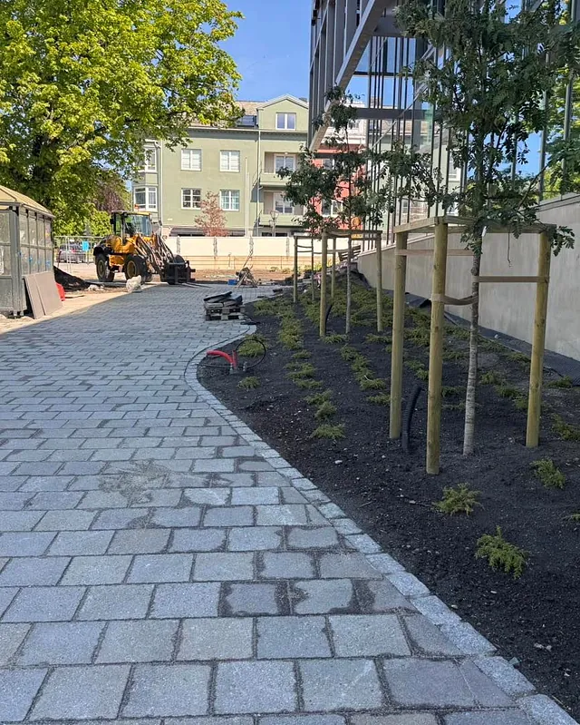 Ny gangvei med kantstein og beplantning anlegges ved moderne bygg i grønt bymiljø.