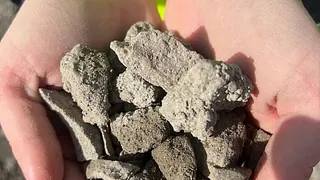 Grus holdes i hender